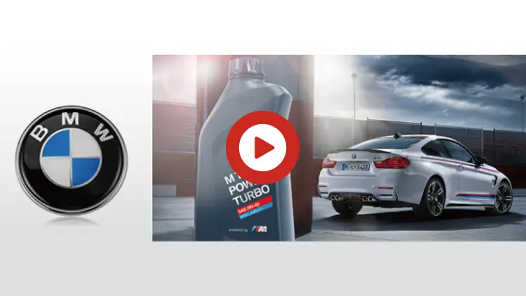 BMW Brand Bottle Blow Molding Machine
